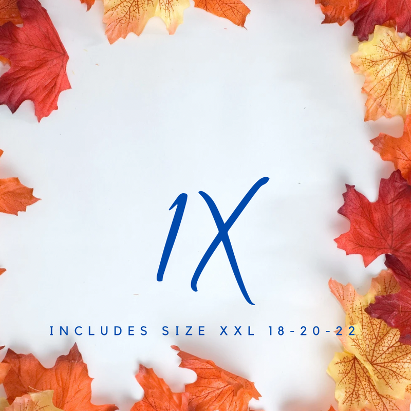 1X