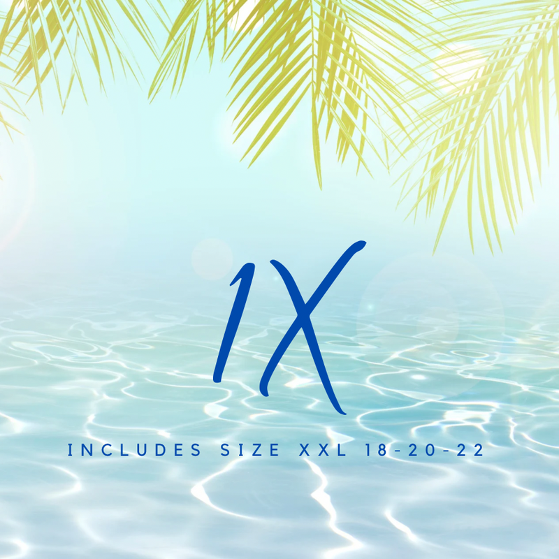1X