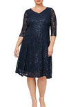 Navy Sleeved Sweetheart Neck Sequin Lace Dress